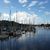 Whangarei Town Marina